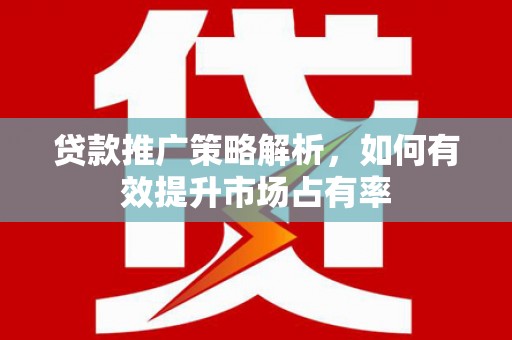 中正贷款推广策略解析，如何有效提升市场占有率
