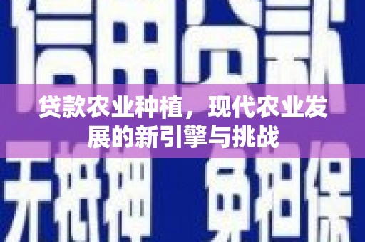中正贷款农业种植，现代农业发展的新引擎与挑战