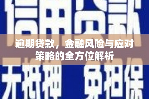 中正逾期贷款，金融风险与应对策略的全方位解析
