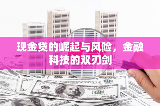 中正现金贷的崛起与风险，金融科技的双刃剑