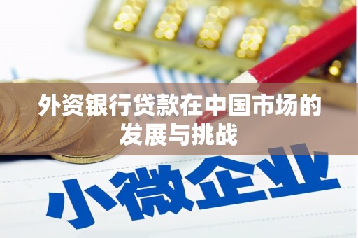 中正外资银行贷款在中国市场的发展与挑战
