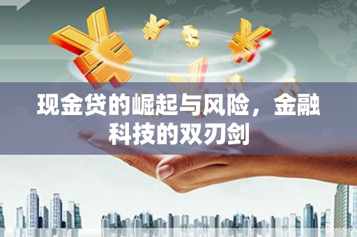 中正现金贷的崛起与风险，金融科技的双刃剑