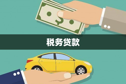 中正税务贷款