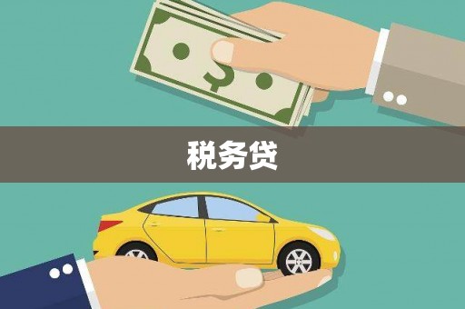 中正税务贷