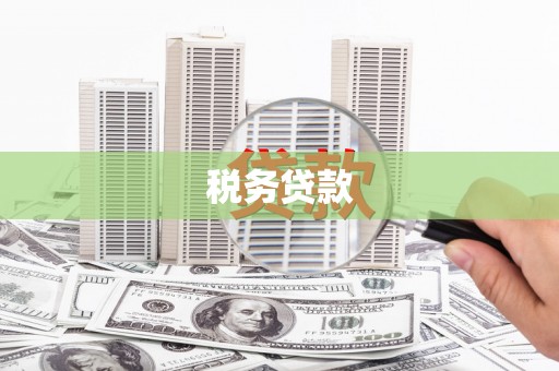 中正税务贷款