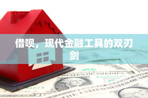 中正借呗，现代金融工具的双刃剑