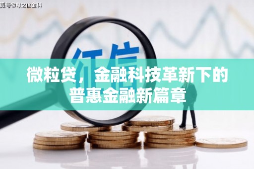 中正微粒贷，金融科技革新下的普惠金融新篇章