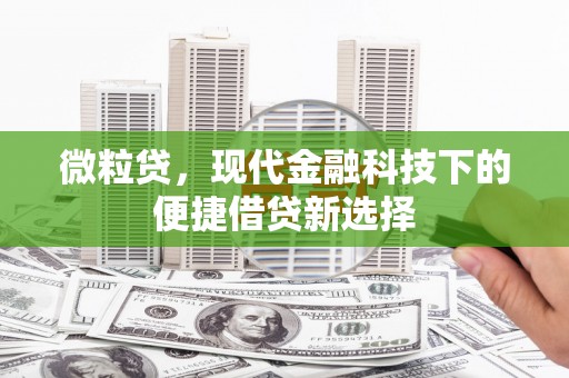 中正微粒贷，现代金融科技下的便捷借贷新选择