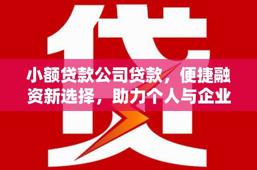 中正小额贷款公司贷款，便捷融资新选择，助力个人与企业成长