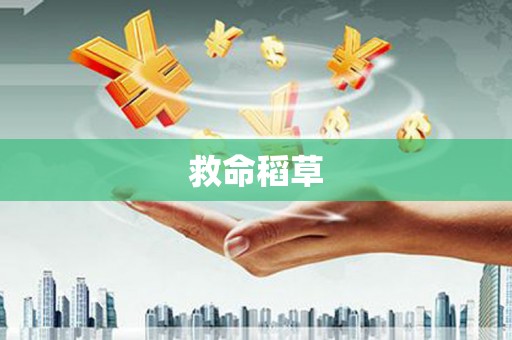 中正救命稻草