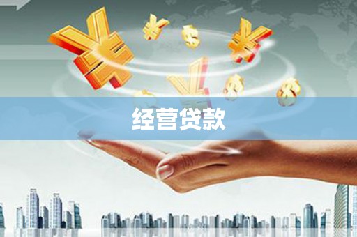 中正经营贷款