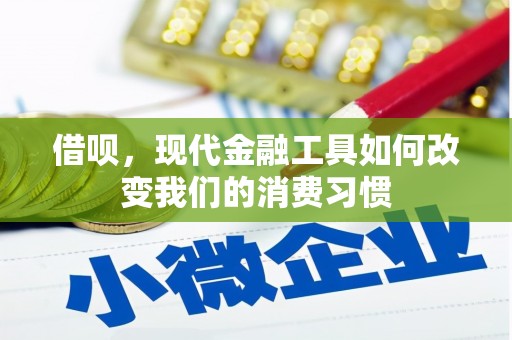 中正借呗，现代金融工具如何改变我们的消费习惯