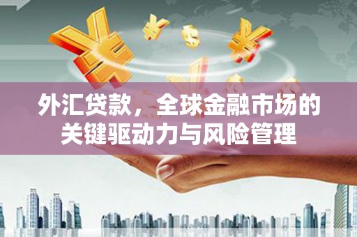 中正外汇贷款，全球金融市场的关键驱动力与风险管理