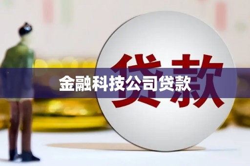 中正金融科技公司贷款
