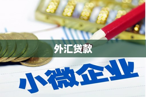 中正外汇贷款