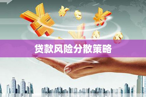 中正贷款风险分散策略