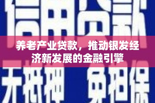 中正养老产业贷款，推动银发经济新发展的金融引擎