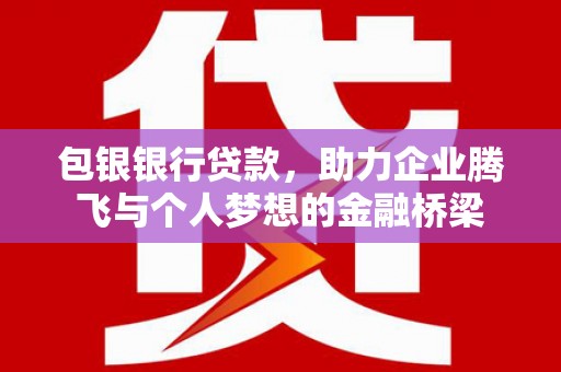 中正包银银行贷款，助力企业腾飞与个人梦想的金融桥梁