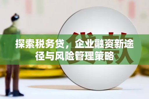 中正探索税务贷，企业融资新途径与风险管理策略