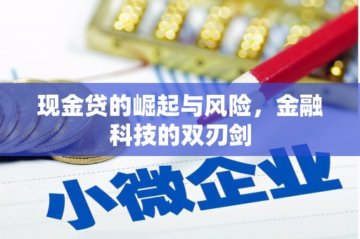 中正现金贷的崛起与风险，金融科技的双刃剑