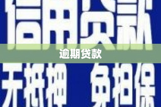 中正逾期贷款