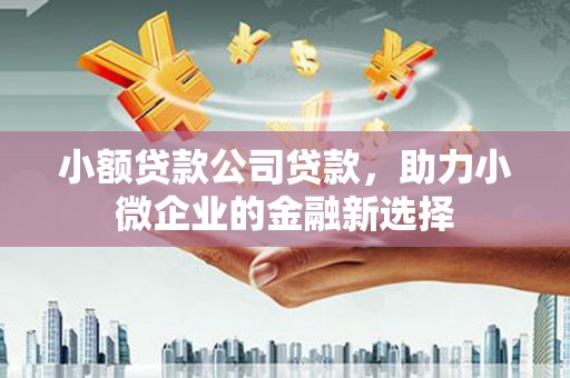中正小额贷款公司贷款，助力小微企业的金融新选择