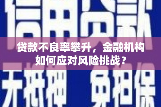中正贷款不良率攀升，金融机构如何应对风险挑战？