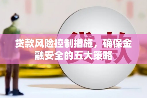 中正贷款风险控制措施，确保金融安全的五大策略