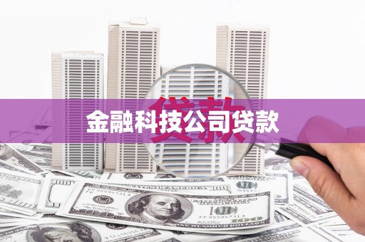 中正金融科技公司贷款