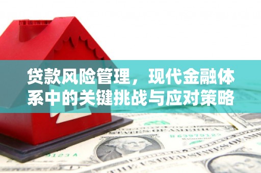中正贷款风险管理，现代金融体系中的关键挑战与应对策略