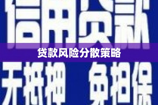 中正贷款风险分散策略