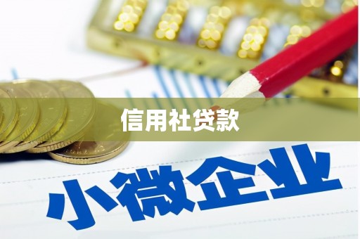中正信用社贷款