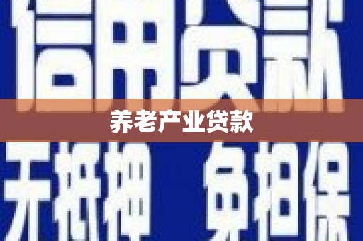 中正养老产业贷款