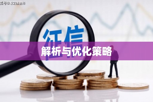 中正解析与优化策略