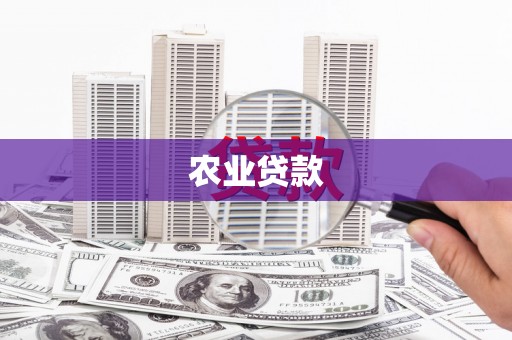 中正农业贷款