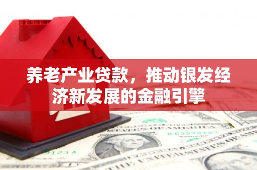 中正养老产业贷款，推动银发经济新发展的金融引擎