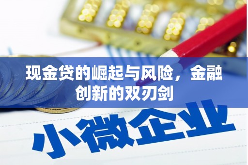 中正现金贷的崛起与风险，金融创新的双刃剑