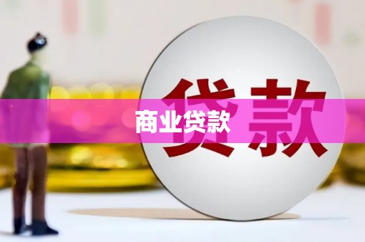 中正商业贷款