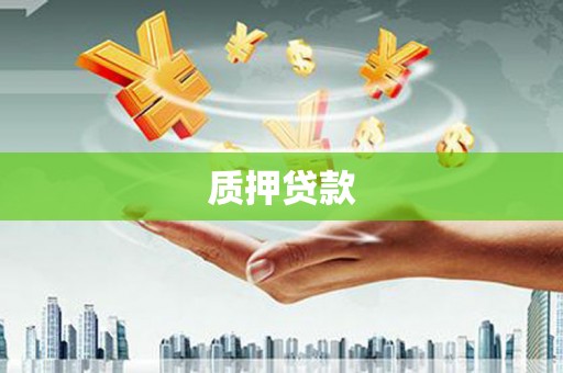 中正质押贷款