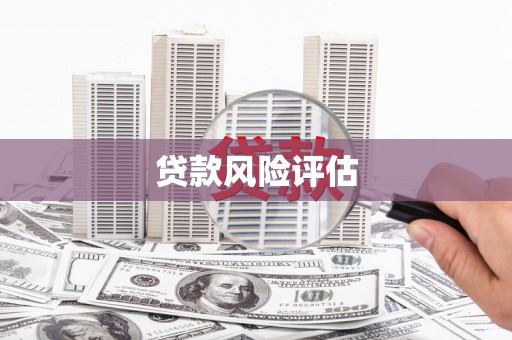 中正贷款风险评估