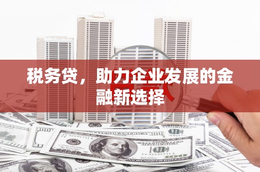 中正税务贷，助力企业发展的金融新选择