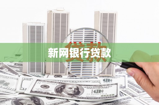 中正新网银行贷款