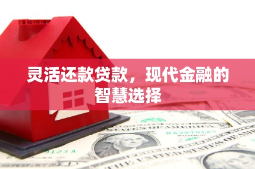 中正灵活还款贷款，现代金融的智慧选择