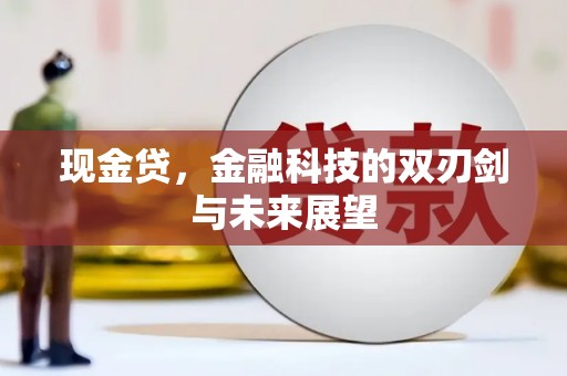 中正现金贷，金融科技的双刃剑与未来展望