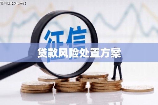 中正贷款风险处置方案