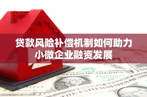 中正贷款风险补偿机制如何助力小微企业融资发展