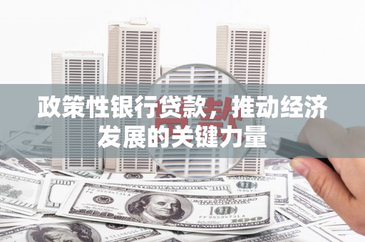 中正政策性银行贷款，推动经济发展的关键力量