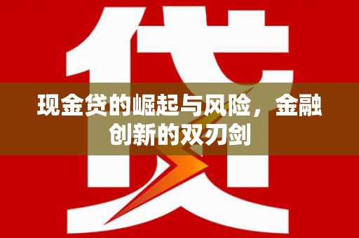 中正现金贷的崛起与风险，金融创新的双刃剑