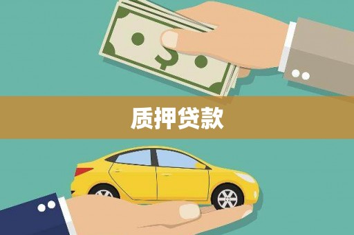 中正质押贷款
