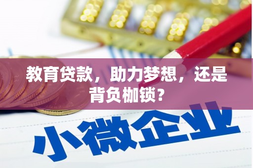 中正教育贷款，助力梦想，还是背负枷锁？